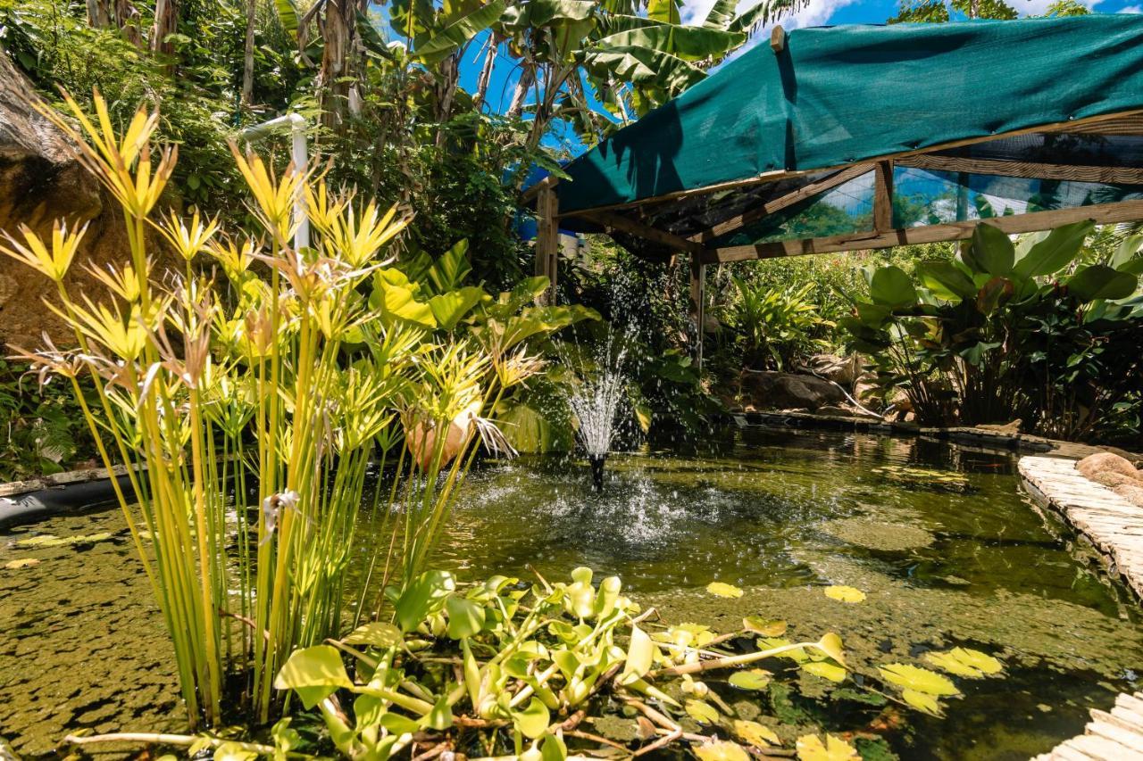 Paradise Chalets Yoga & Wellness Takamaka Ngoại thất bức ảnh