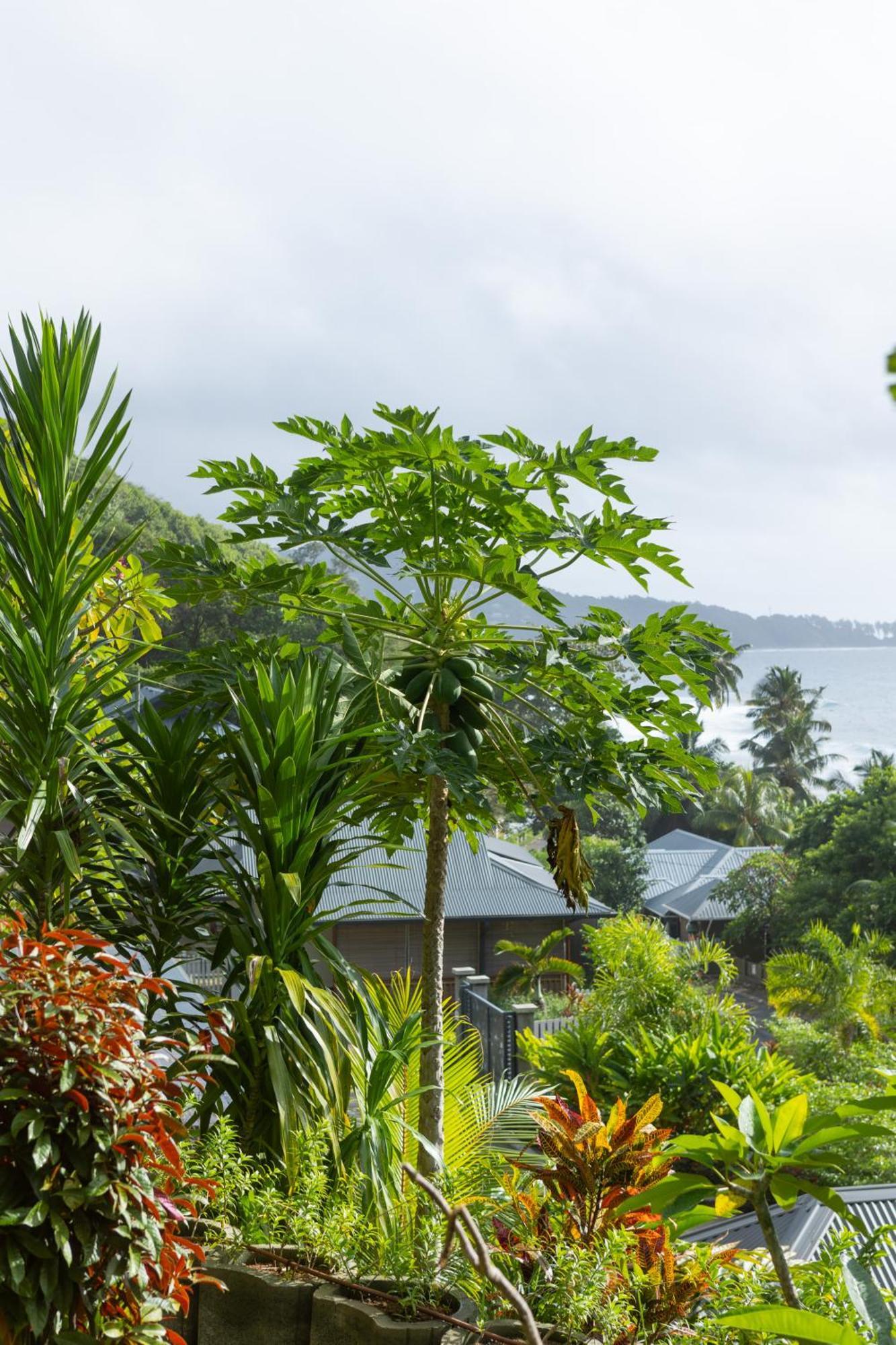Paradise Chalets Yoga & Wellness Takamaka Ngoại thất bức ảnh