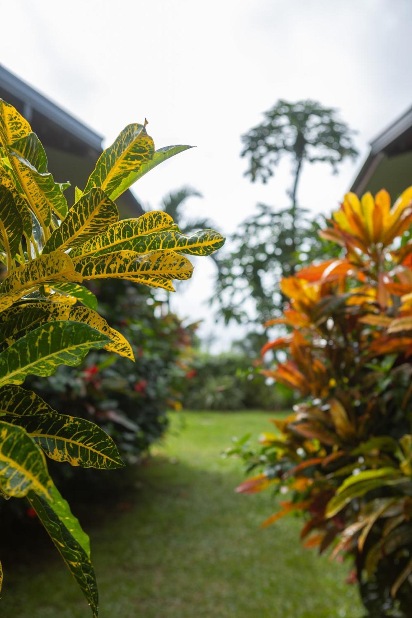 Paradise Chalets Yoga & Wellness Takamaka Ngoại thất bức ảnh